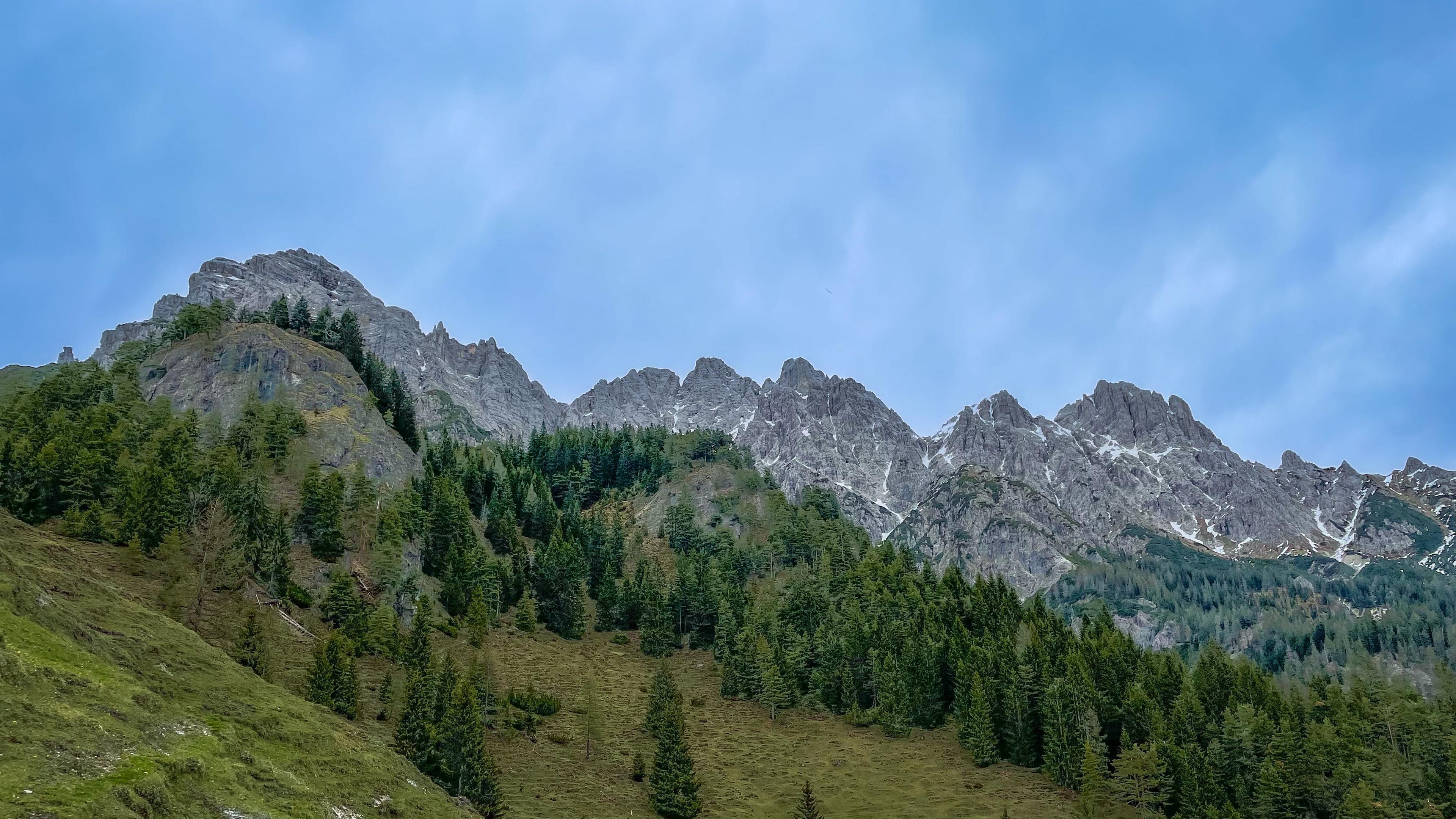 Collection Image:Nature