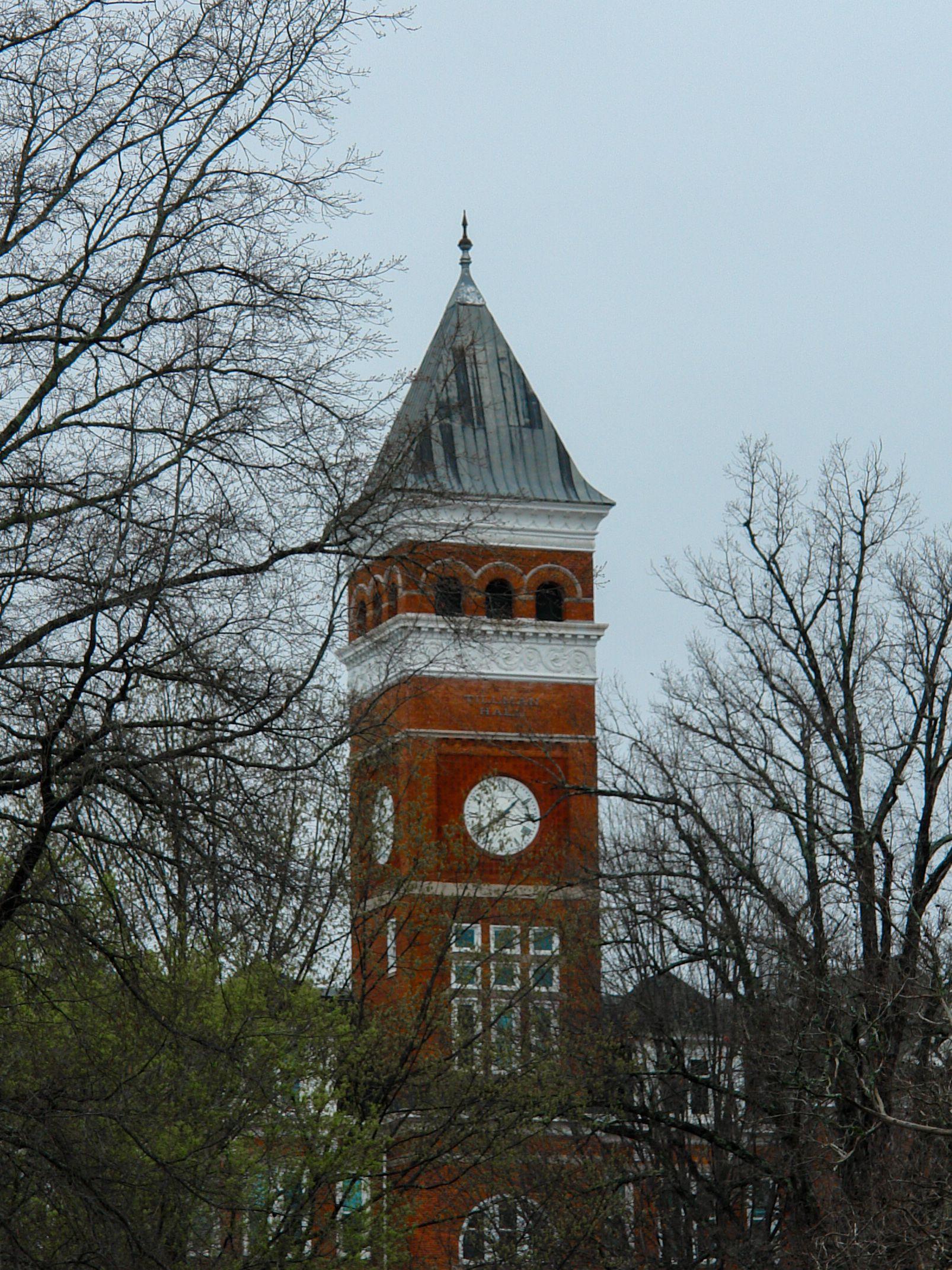 Collection Image:Clemson bell tower